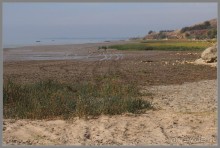 Один из дней "бабьего лета" в Мержаново, Ростовская область.