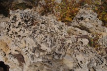 Один из дней "бабьего лета" в Мержаново, Ростовская область.