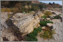 Один из дней "бабьего лета" в Мержаново, Ростовская область.