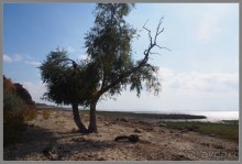 Один из дней "бабьего лета" в Мержаново, Ростовская область.