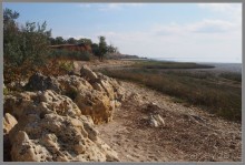 Один из дней "бабьего лета" в Мержаново, Ростовская область.