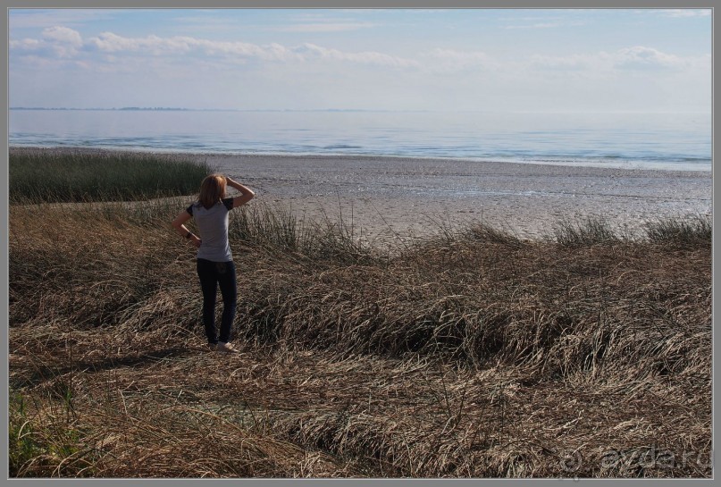 Один из дней "бабьего лета" в Мержаново, Ростовская область.