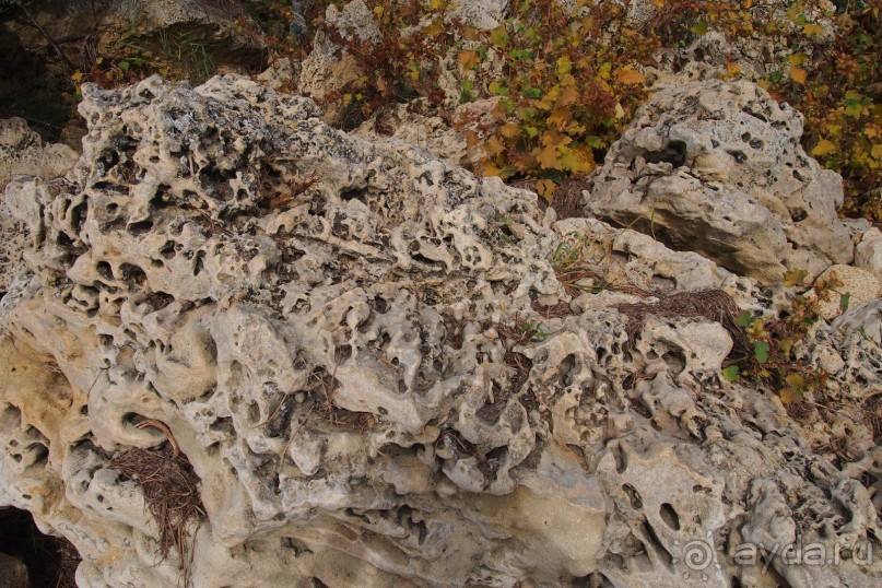 Один из дней "бабьего лета" в Мержаново, Ростовская область.