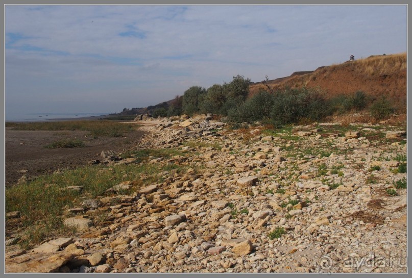 Один из дней "бабьего лета" в Мержаново, Ростовская область.