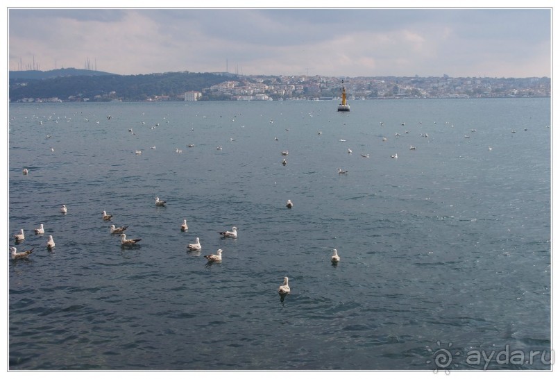 Альбом отзыва "Немного  воспоминаний о Стамбуле - городе контрастов."