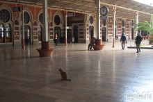 Немного  воспоминаний о Стамбуле - городе контрастов.