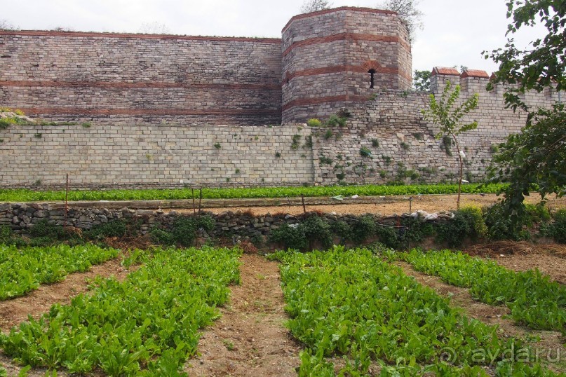 Немного  воспоминаний о Стамбуле - городе контрастов.