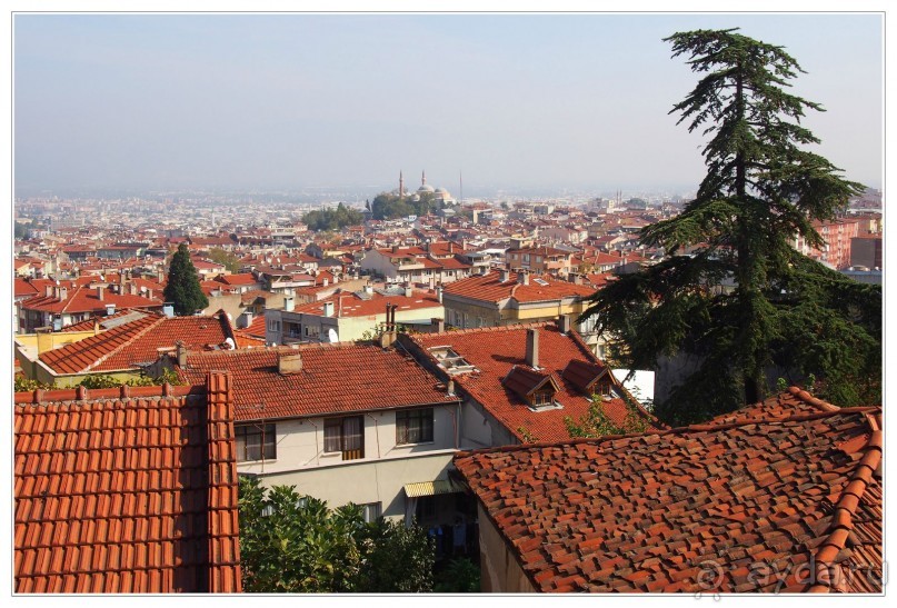 Немного  воспоминаний о Стамбуле - городе контрастов.