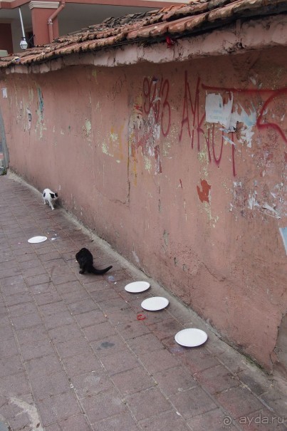 Немного  воспоминаний о Стамбуле - городе контрастов.