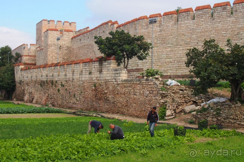 Немного  воспоминаний о Стамбуле - городе контрастов.