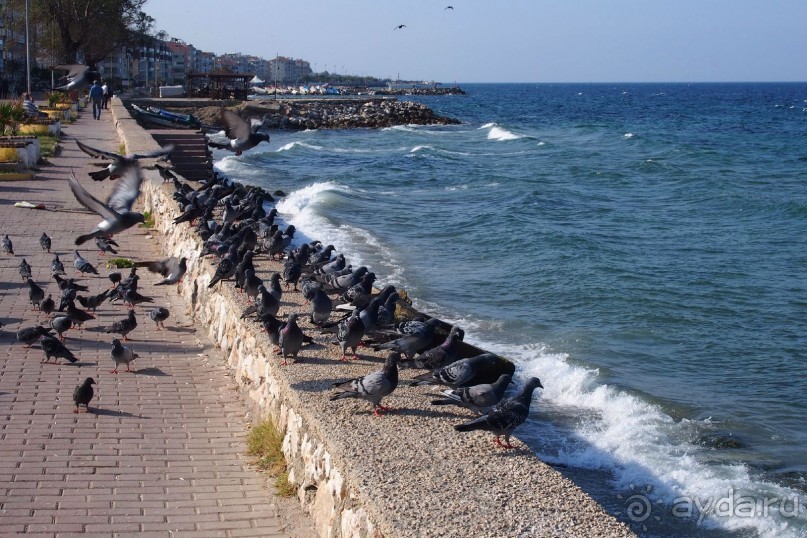 Немного  воспоминаний о Стамбуле - городе контрастов.