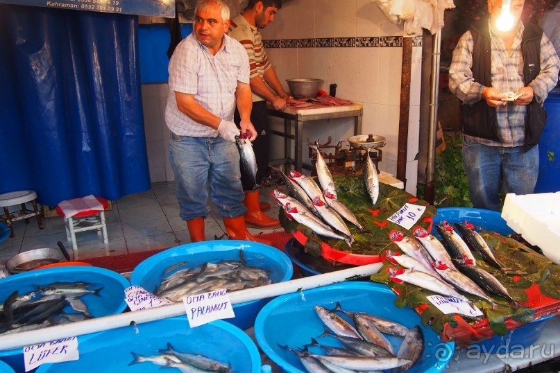 Немного  воспоминаний о Стамбуле - городе контрастов.