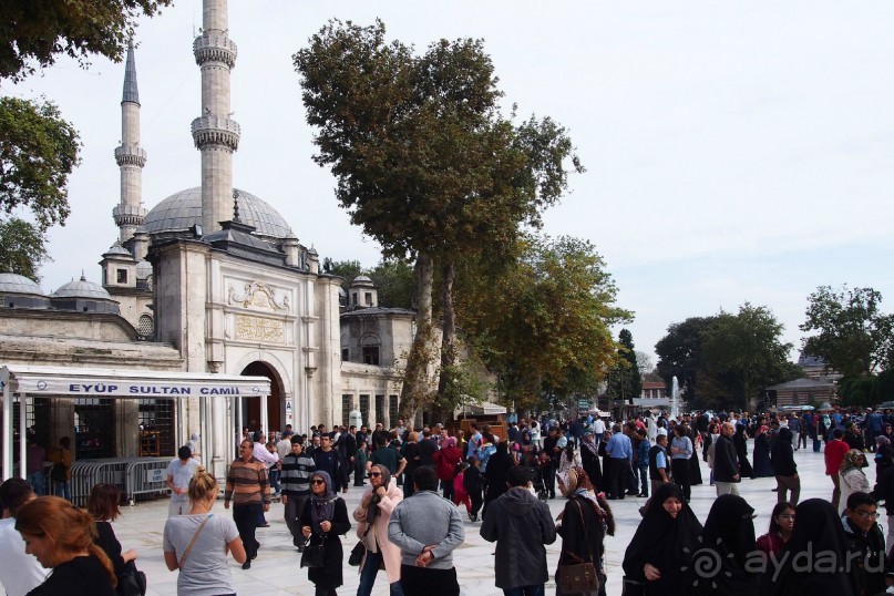 Немного  воспоминаний о Стамбуле - городе контрастов.