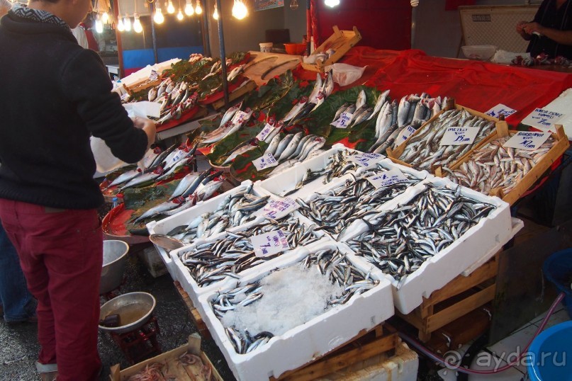 Немного  воспоминаний о Стамбуле - городе контрастов.