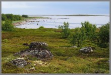 Соловецкий архипелаг в июне, часть 3.