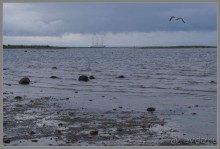 Соловецкий архипелаг в июне, часть 3.