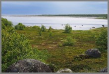 Соловецкий архипелаг в июне, часть 3.