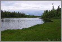 Соловецкий архипелаг в июне, часть 3.