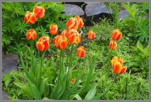 Соловецкий архипелаг в июне, часть 3.