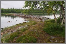 Соловецкий архипелаг в июне, часть 3.