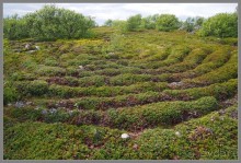 Соловецкий архипелаг в июне, часть 3.