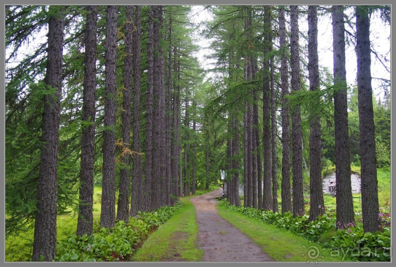 Соловецкий архипелаг в июне, часть 3.