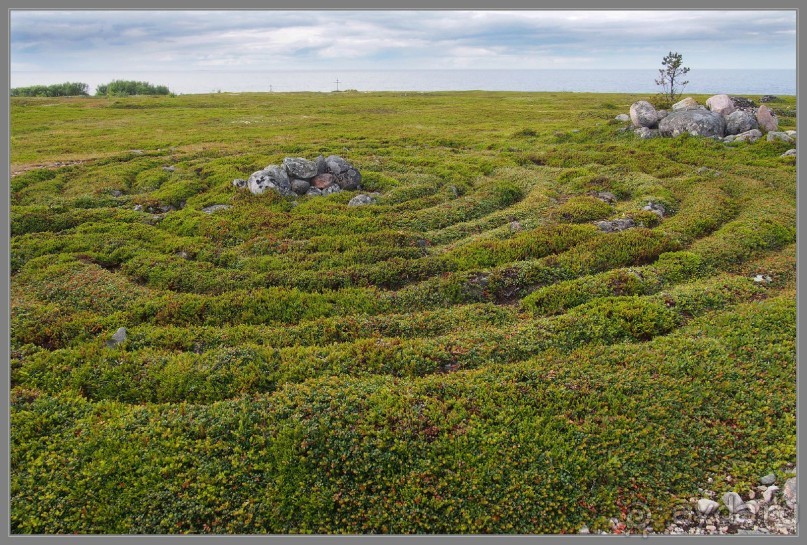 Соловецкий архипелаг в июне, часть 3.