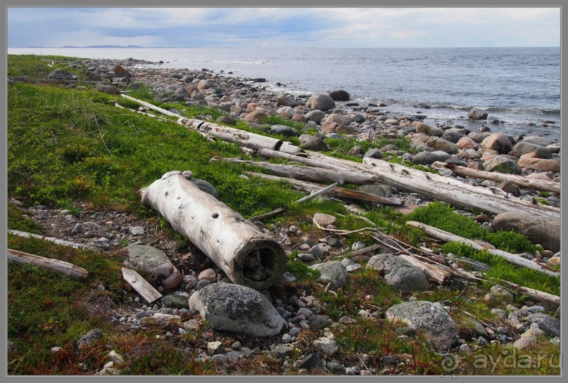 Соловецкий архипелаг в июне, часть 3.