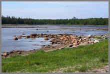 Соловецкий архипелаг в июне, часть 6.