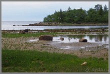 Соловецкий архипелаг в июне, часть 6.