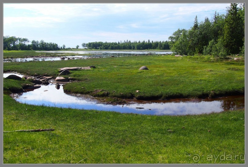 Соловецкий архипелаг в июне, часть 6.