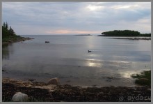 Соловецкий архипелаг в июне, часть 6.