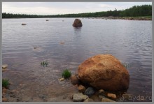 Соловецкий архипелаг в июне, часть 6.