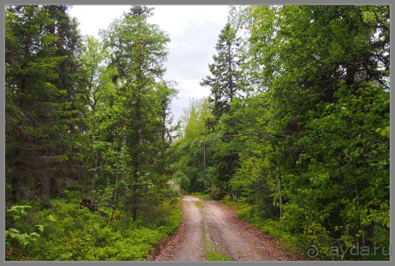 Соловецкий архипелаг в июне, часть 6.