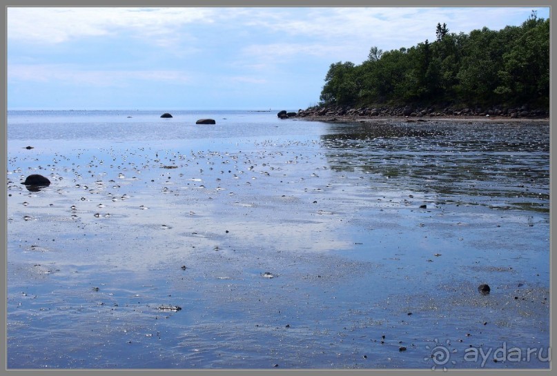 Соловецкий архипелаг в июне, часть 6.