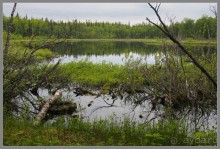 Соловецкий архипелаг в июне, часть 6.
