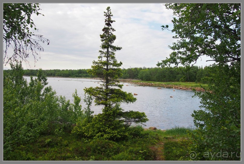 Соловецкий архипелаг в июне, часть 6.