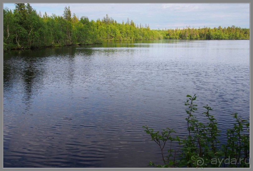 Соловецкий архипелаг в июне, часть 6.