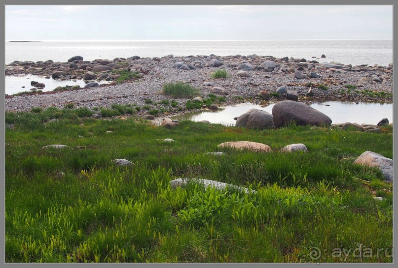 Соловецкий архипелаг в июне, часть 6.