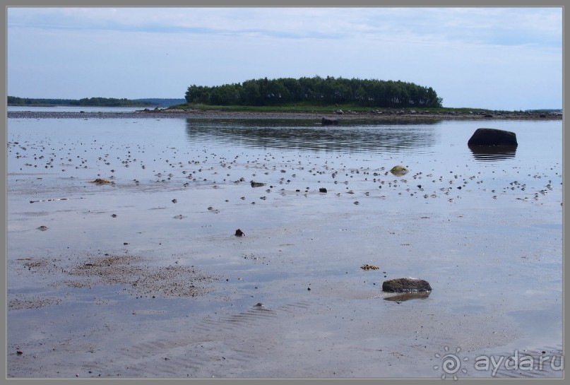 Соловецкий архипелаг в июне, часть 6.