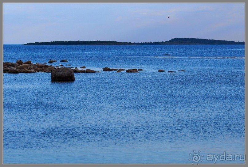 Соловецкий архипелаг в июне, часть 6.