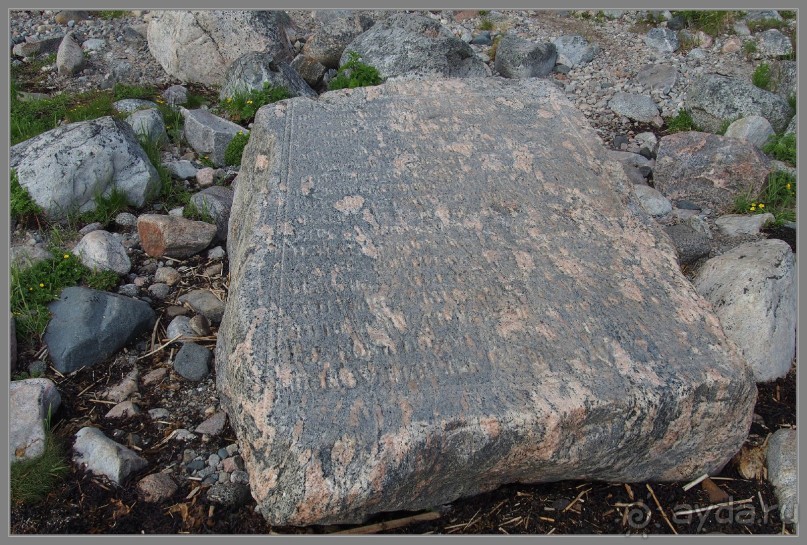 Соловецкий архипелаг в июне, часть 6.