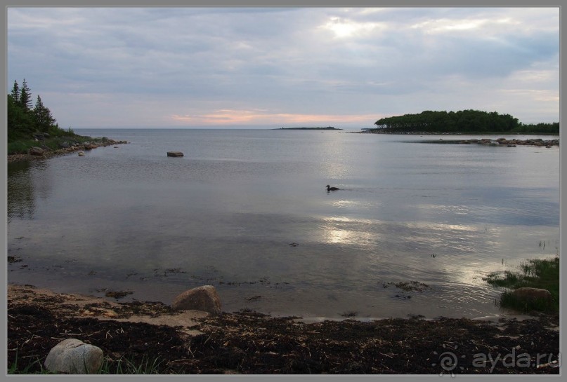 Соловецкий архипелаг в июне, часть 6.