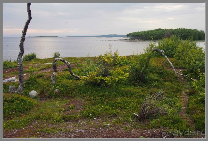 Соловецкий архипелаг в июне, часть 6.