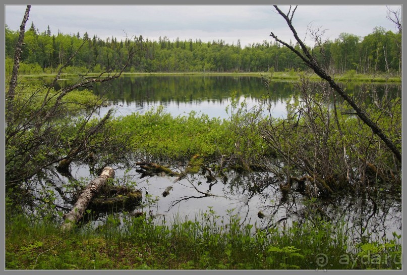Соловецкий архипелаг в июне, часть 6.