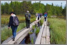 Соловецкий архипелаг в июне, часть 4.