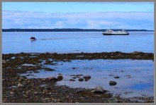 Соловецкий архипелаг в июне, часть 4.