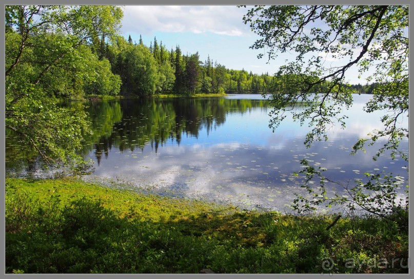 Соловецкий архипелаг в июне, часть 4.
