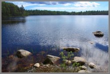 Соловецкий архипелаг в июне, часть 4.