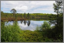 Соловецкий архипелаг в июне, часть 4.